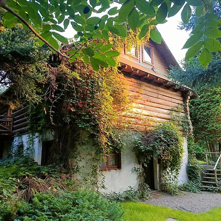 Feriegård Amigowka *