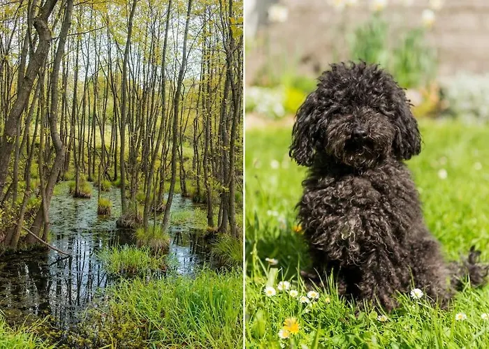 Bauernhof Amigowka *